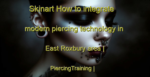 Skinart How to integrate modern piercing technology in East Roxbury area | PiercingTraining | PiercingClasses | SkinartTraining-United States